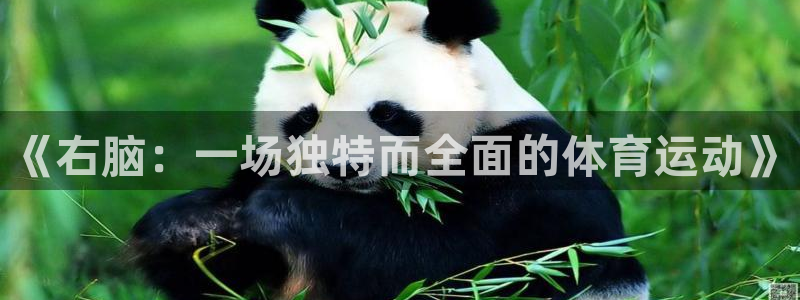 《右脑：一场独特而全面的体育运动》
