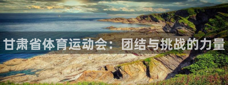 甘肃省体育运动会：团结与挑战的力量
