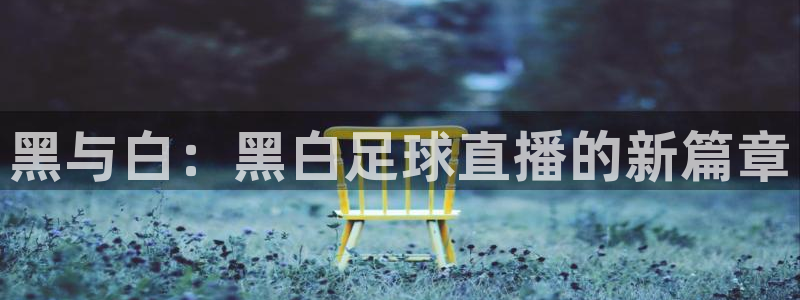 黑与白：黑白足球直播的新篇章