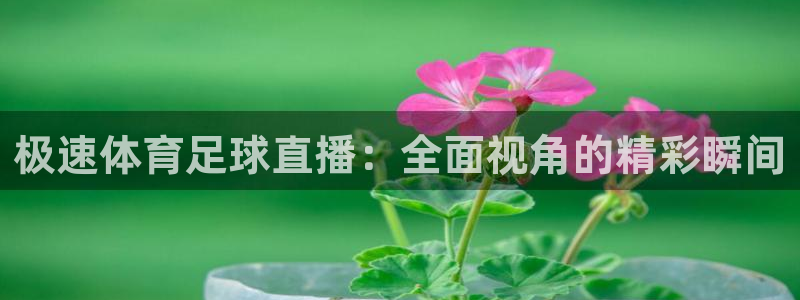 极速体育足球直播：全面视角的精彩瞬间