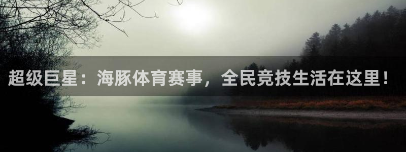 超级巨星：海豚体育赛事，全民竞技生活在这里！