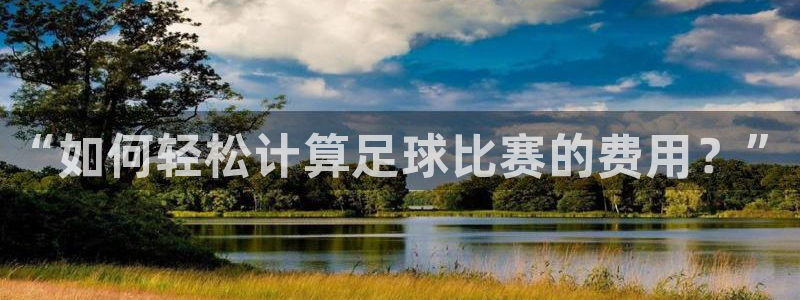 “如何轻松计算足球比赛的费用？”