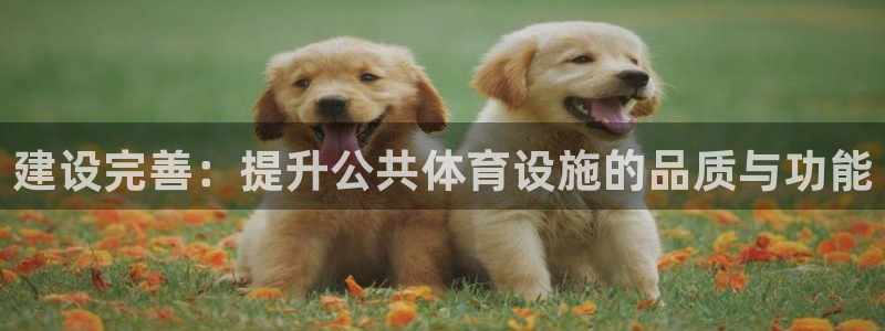 建设完善：提升公共体育设施的品质与功能