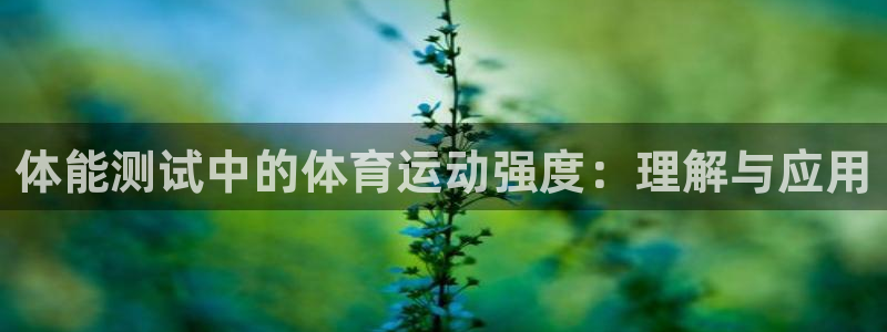 体能测试中的体育运动强度：理解与应用