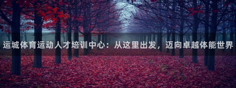 运城体育运动人才培训中心：从这里出发，迈向卓越体能世界
