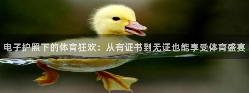 电子护照下的体育狂欢：从有证书到无证也能享受体育盛宴
