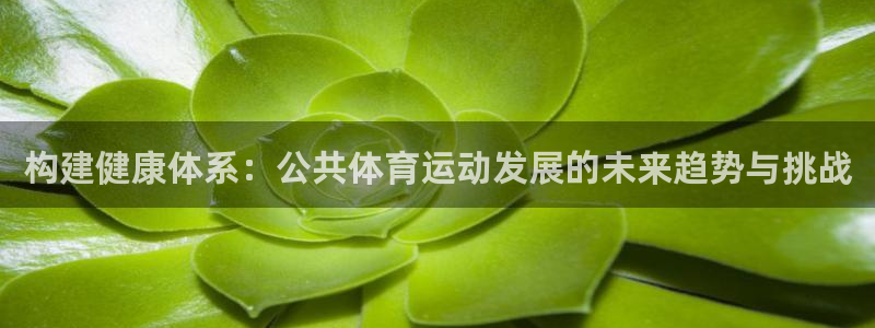 构建健康体系：公共体育运动发展的未来趋势与挑战