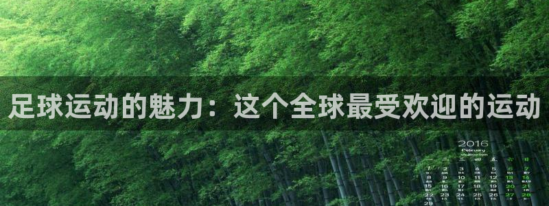 足球运动的魅力：这个全球最受欢迎的运动