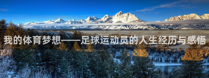 我的体育梦想——足球运动员的人生经历与感悟