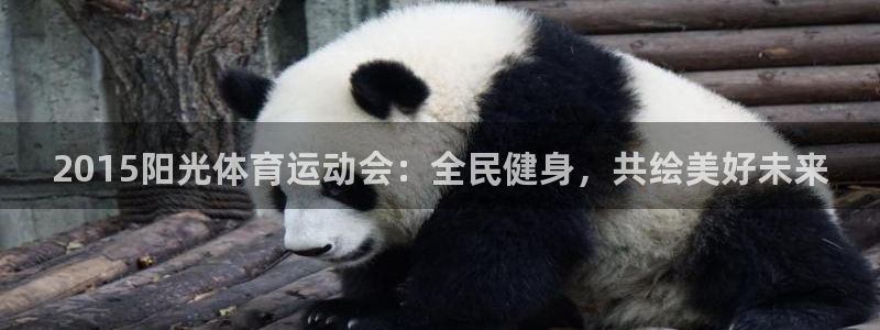 2015阳光体育运动会：全民健身，共绘美好未来