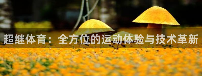 超继体育：全方位的运动体验与技术革新