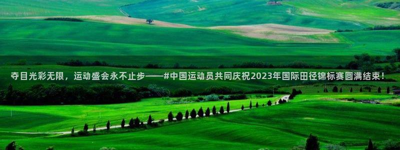 夺目光彩无限，运动盛会永不止步——#中国运动员共同庆祝2023年国际田径锦标赛圆满结束！