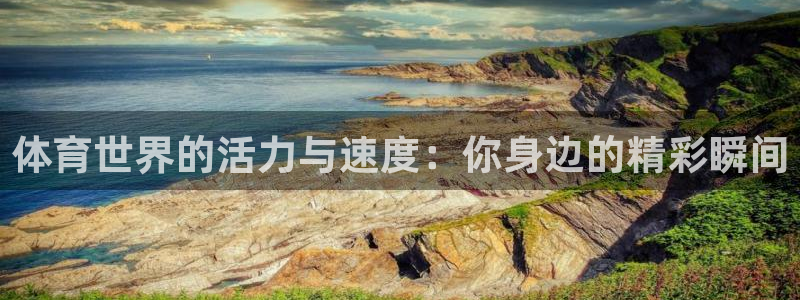 体育世界的活力与速度：你身边的精彩瞬间