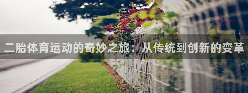 二胎体育运动的奇妙之旅：从传统到创新的变革