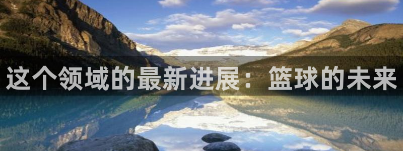 这个领域的最新进展：篮球的未来