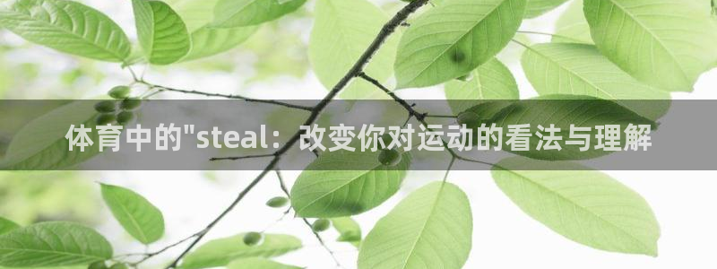 体育中的\