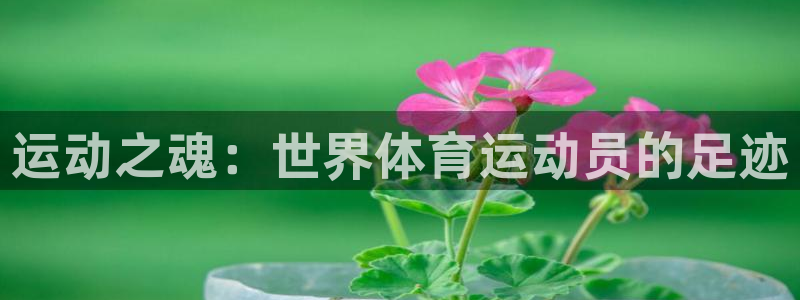 运动之魂：世界体育运动员的足迹