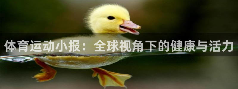体育运动小报：全球视角下的健康与活力