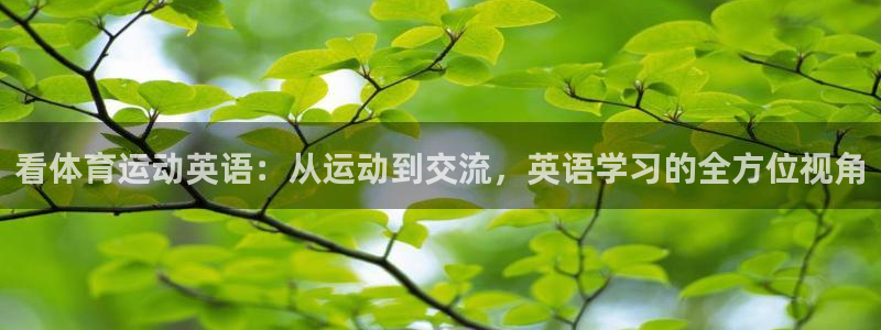 看体育运动英语：从运动到交流，英语学习的全方位视角