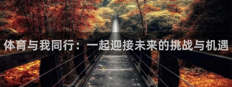 体育与我同行：一起迎接未来的挑战与机遇