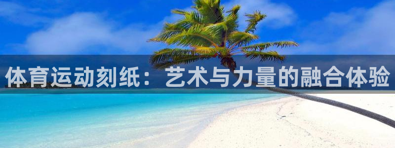 体育运动刻纸：艺术与力量的融合体验