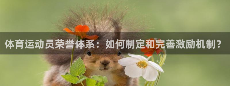 体育运动员荣誉体系：如何制定和完善激励机制？