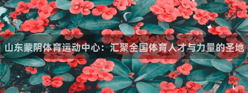 山东蒙阴体育运动中心：汇聚全国体育人才与力量的圣地