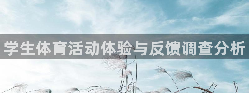 学生体育活动体验与反馈调查分析