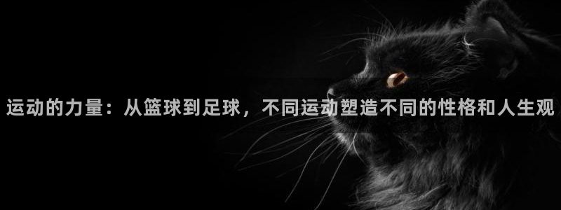 运动的力量：从篮球到足球，不同运动塑造不同的性格和人生观