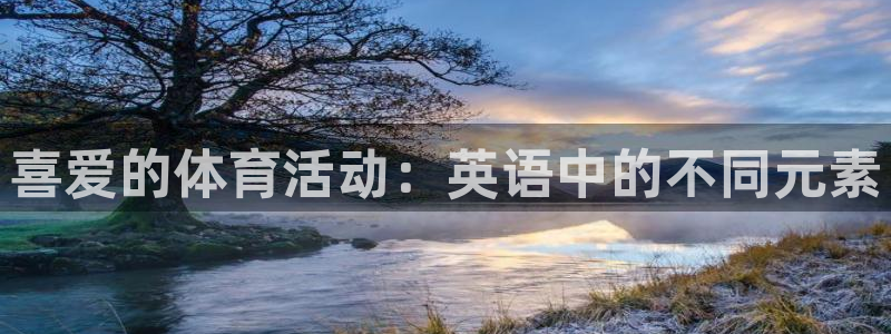 喜爱的体育活动：英语中的不同元素