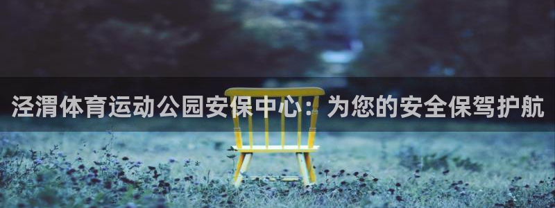 泾渭体育运动公园安保中心：为您的安全保驾护航
