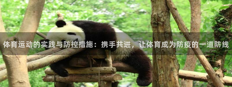 体育运动的实践与防控措施：携手共进，让体育成为防疫的一道防线