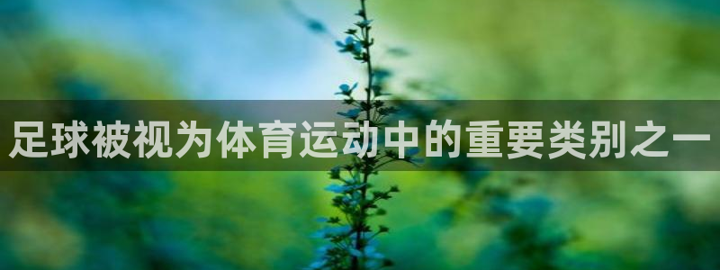 足球被视为体育运动中的重要类别之一