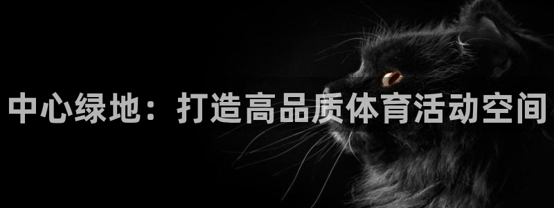 中心绿地：打造高品质体育活动空间